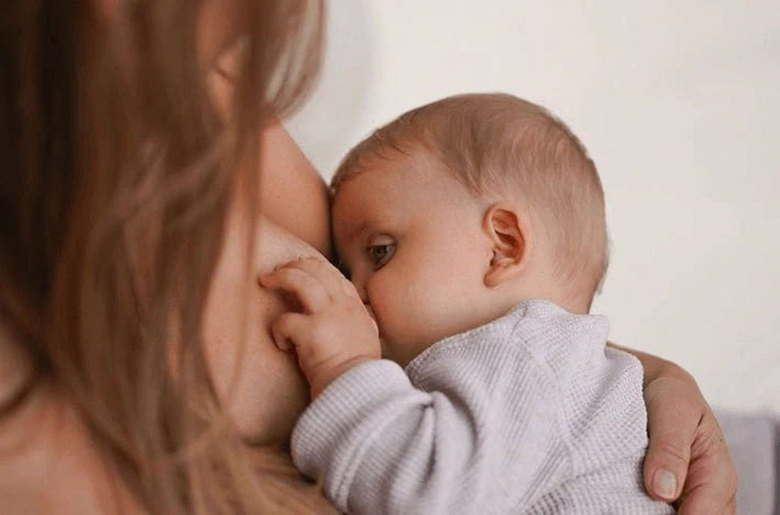 Shared Breastfeeding: Being Two to Nurse Baby - Élhée