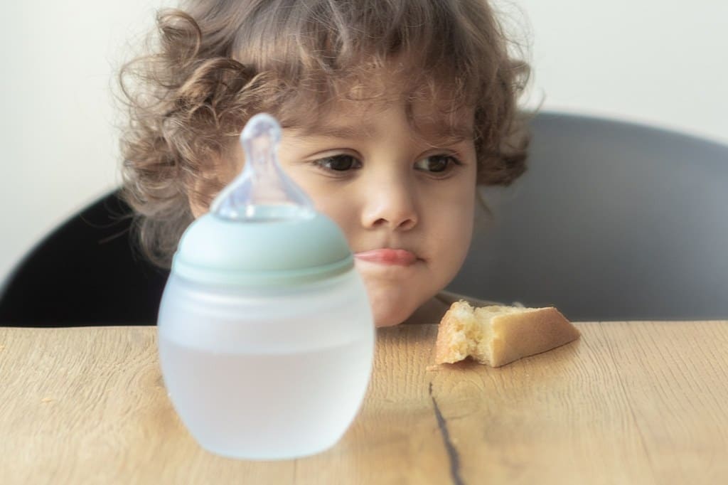 Organizing Baby’s Meals: Milk, Fruits, Purees - Élhée