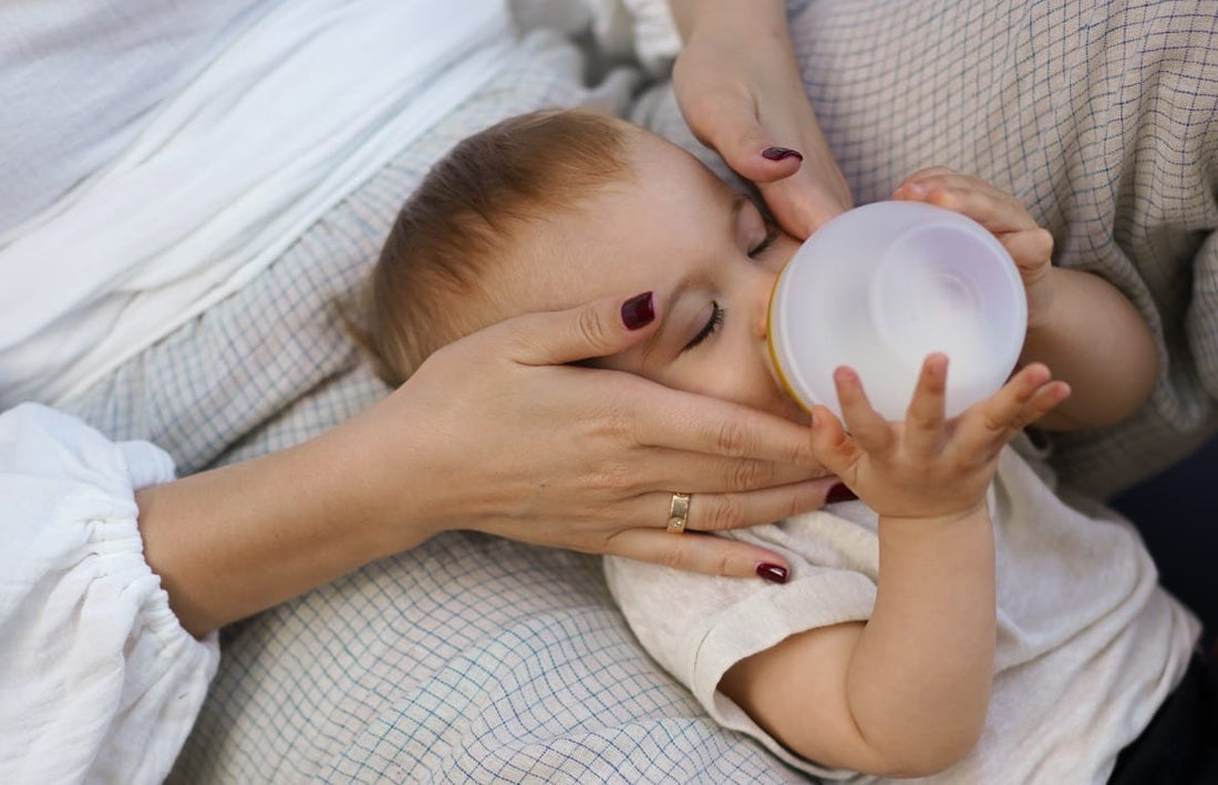Are Bottle Warmers Really Useful for Baby’s Well-Being? - Élhée