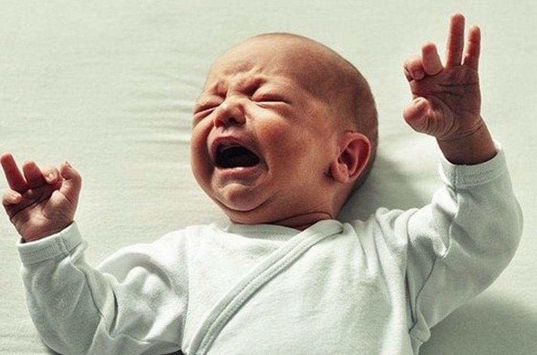 Anti-Colic Bottle: Which Is Best for My Baby? - Élhée